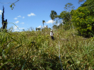 PA_2078_3_190