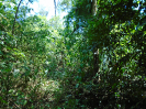 PA_2078_4_200