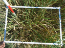 PA_2081_2_40d