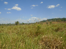 PA_2081_3_31