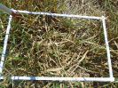 PA_2081_4_30d
