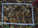 PA_2082_3_133b