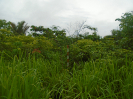 PA_2083_0_741