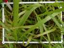 PA_2083_1_746d