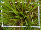 PA_2083_2_749b