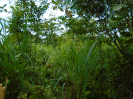 PA_2083_3_753