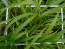 PA_2083_3_757d