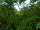 PA_2083_4_758