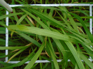 PA_2083_4_759a