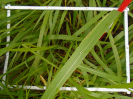PA_2083_4_760b