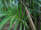 PA_2084_3_730