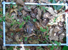 PA_2084_3_733c