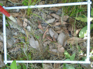 PA_2084_3_734d