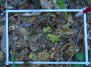 PA_2084_4_738c