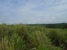 PA_2086_0_244 (2)