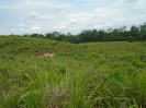 PA_2086_1_245 (2)