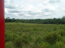 PA_2086_2_250 (2)