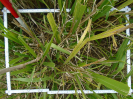 PA_2086_2_254d