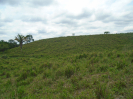 PA_2086_3_255
