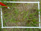 PA_2086_3_256a