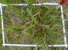 PA_2086_3_257b (2)