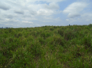 PA_2086_4_260