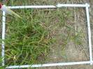 PA_2086_4_261a