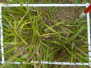 PA_2086_4_262b