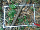 PA_2087_1_164d