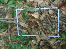 PA_2087_2_167b