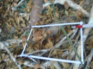 PA_2087_2_176c (2)