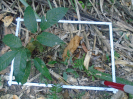 PA_2087_2_177d (2)
