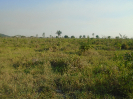 PA_2087_3_168 (2)