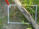 PA_2087_3_175d (2)