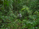 PA_2088 (1)