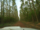 PA_2088 (4)