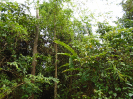 PA_2088 (5)