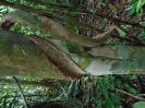 PA_2088 (9)
