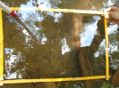 PA_2134_3_373a