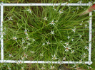 PA_2137_3_660b