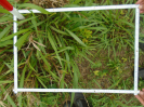 PA_2144_1_203d (2)