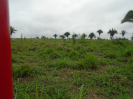 PA_2144_2_204 (2)