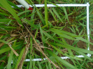 PA_2144_2_206a