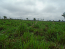 PA_2144_3_210 (2)