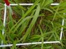PA_2144_3_211a