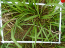 PA_2144_3_212b