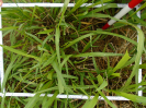 PA_2144_3_213c (2)