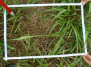 PA_2144_3_214d