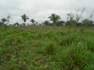 PA_2144_4_215 (2)