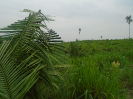 PA_2146_0_185 (2)